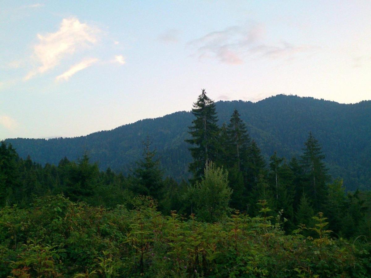 Mountain Resort Gantiadi Borjomi Ngoại thất bức ảnh