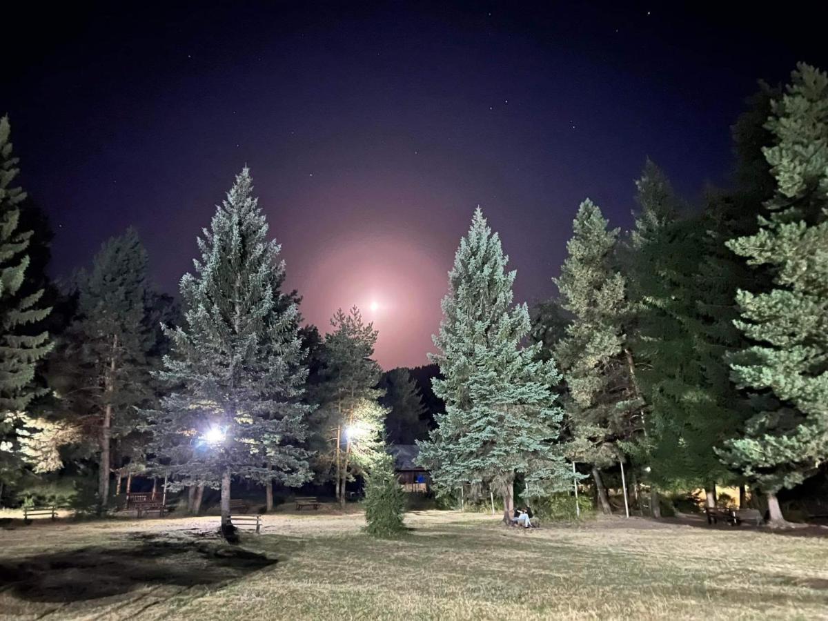 Mountain Resort Gantiadi Borjomi Ngoại thất bức ảnh